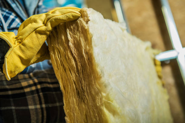 Best Specialized Insulation Services in Weaverville, NC