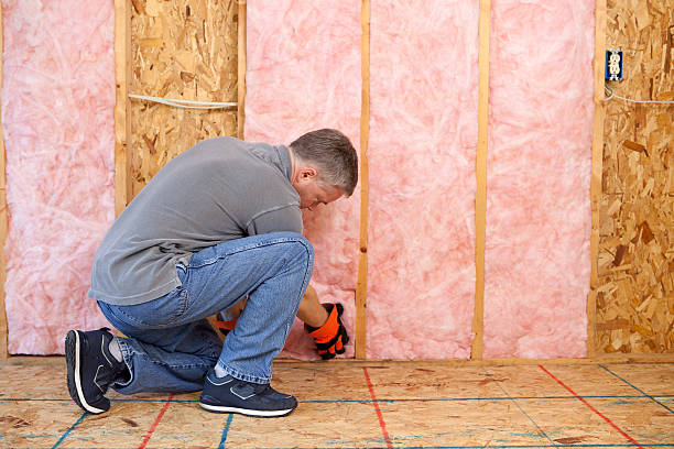 Best Cellulose Insulation in Weaverville, NC